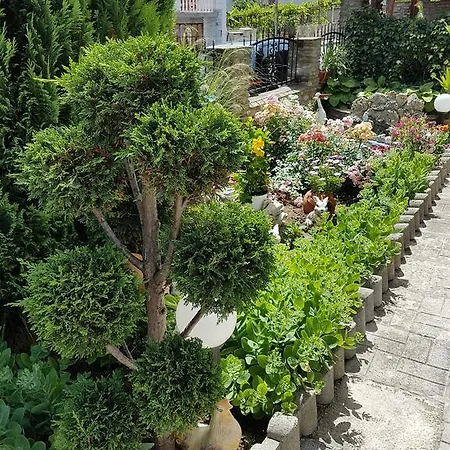 Guest Denitsa Guest house 3*